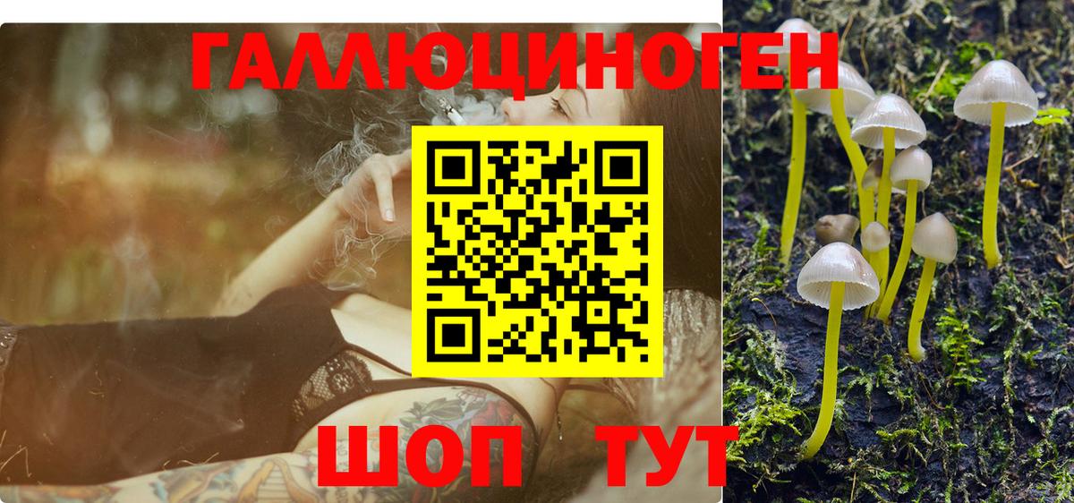 Псилоцибиновые грибы мицелий Нальчик